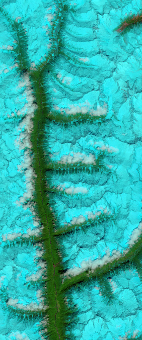 Firn-filled Fjords, Tibet — letter E — Your Name in Landsat